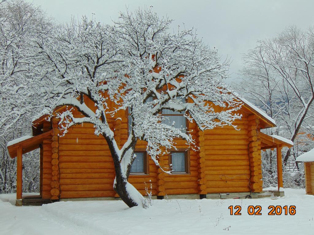 Casutele Din Moisei Hotell Exteriör bild
