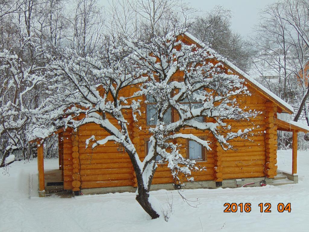 Casutele Din Moisei Hotell Exteriör bild