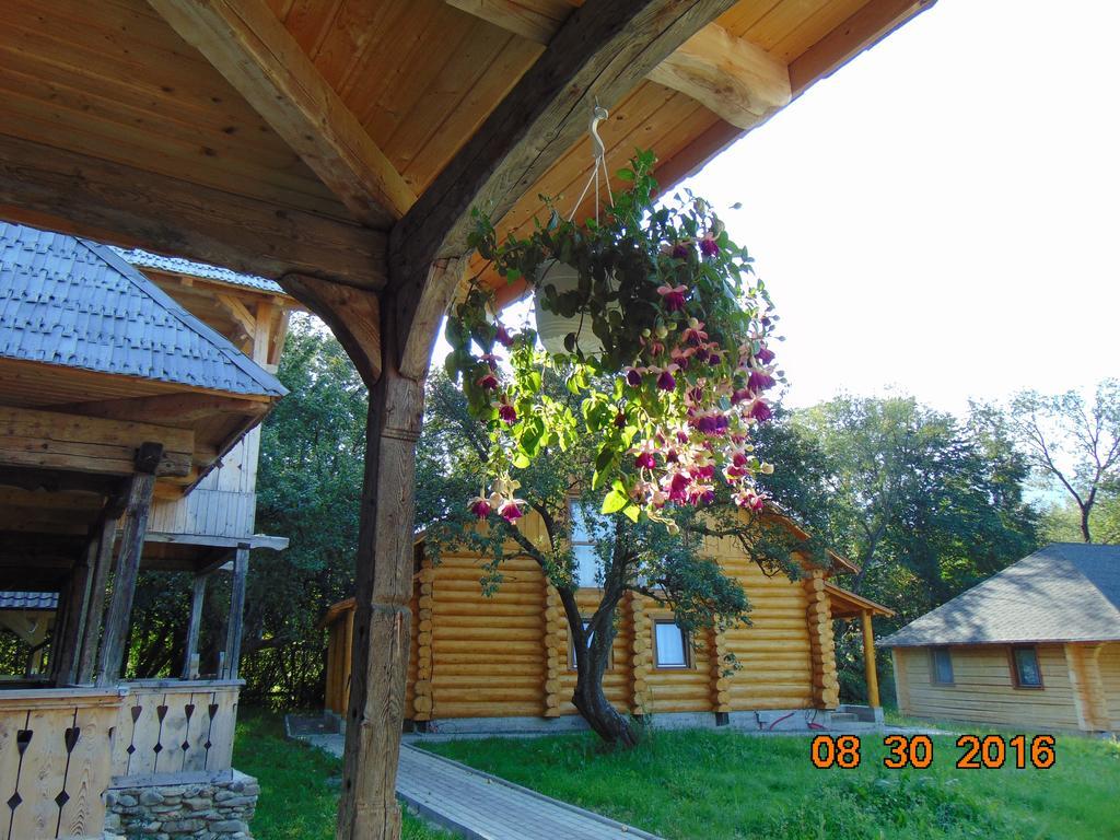 Casutele Din Moisei Hotell Exteriör bild