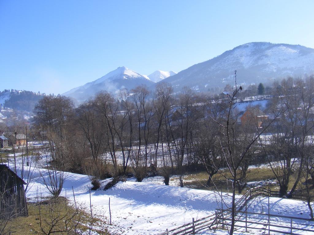 Casutele Din Moisei Hotell Exteriör bild