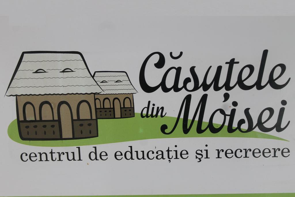 Casutele Din Moisei Hotell Exteriör bild