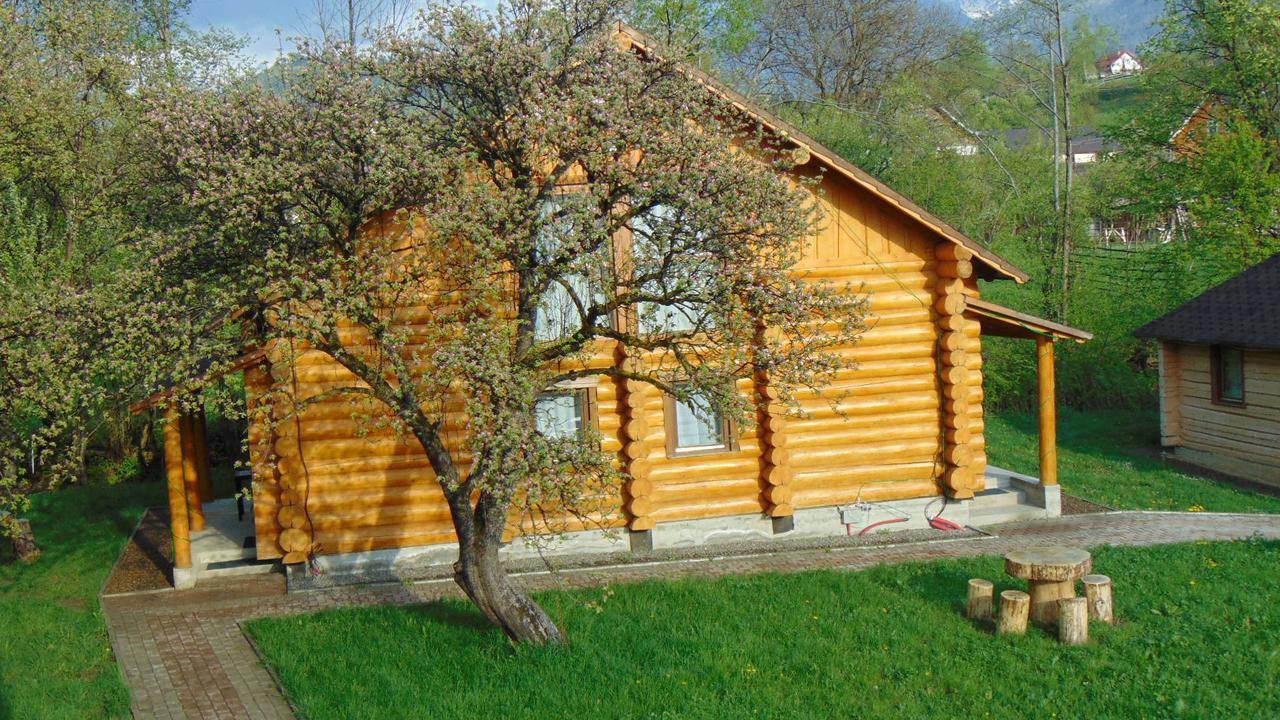 Casutele Din Moisei Hotell Exteriör bild
