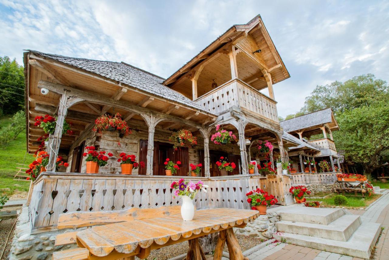 Casutele Din Moisei Hotell Exteriör bild