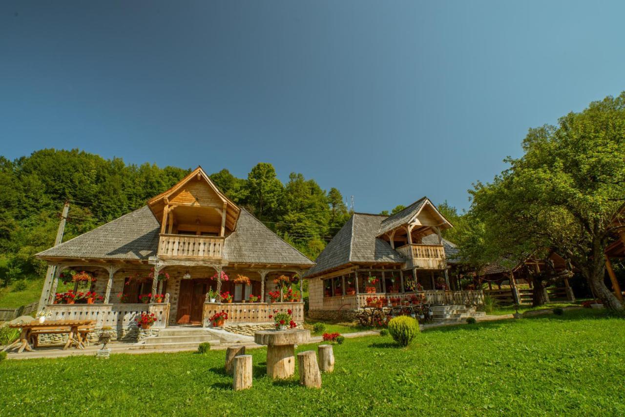 Casutele Din Moisei Hotell Exteriör bild